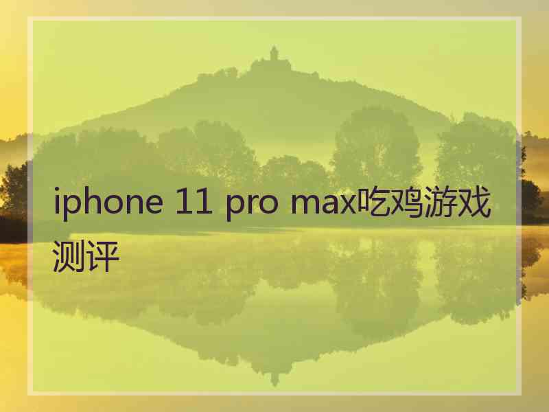 iphone 11 pro max吃鸡游戏测评