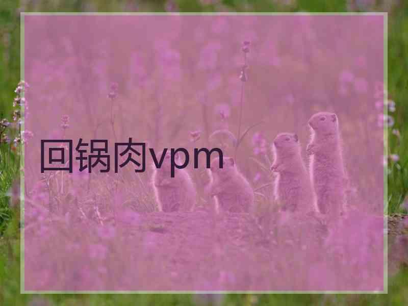 回锅肉vpm