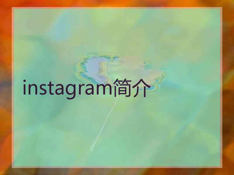 instagram简介