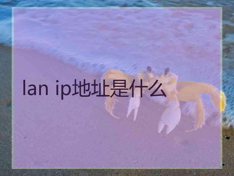 lan ip地址是什么