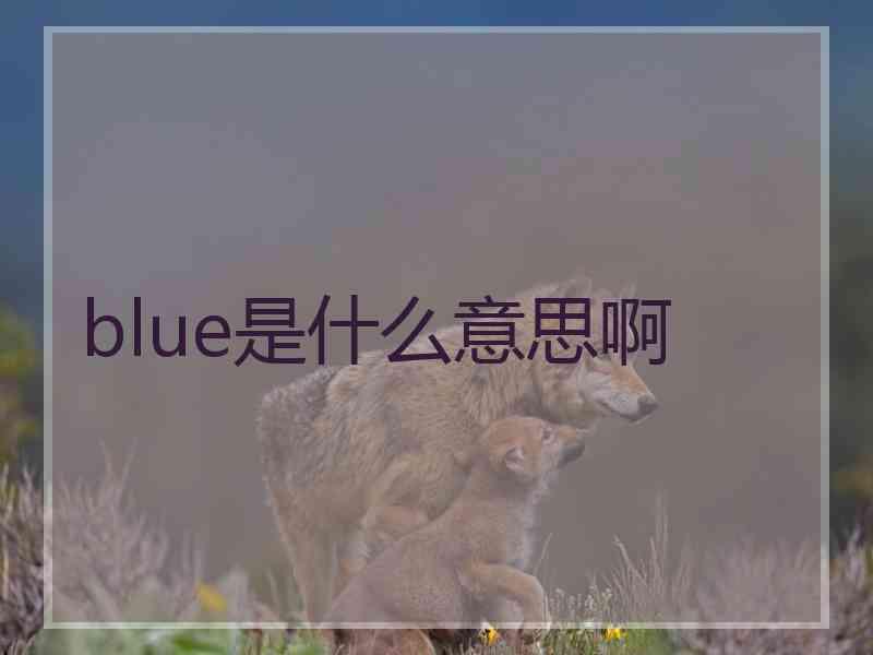 blue是什么意思啊