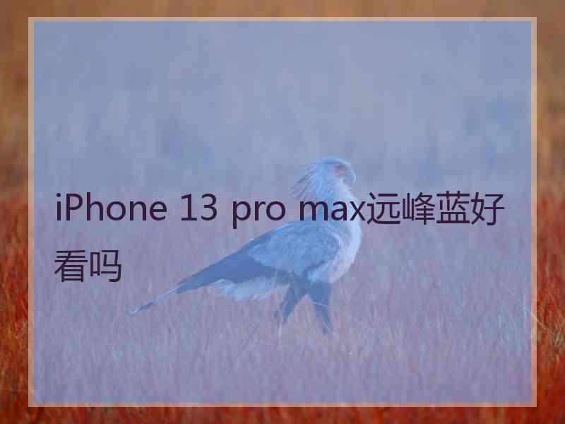 iPhone 13 pro max远峰蓝好看吗