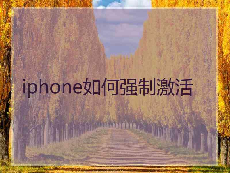 iphone如何强制激活