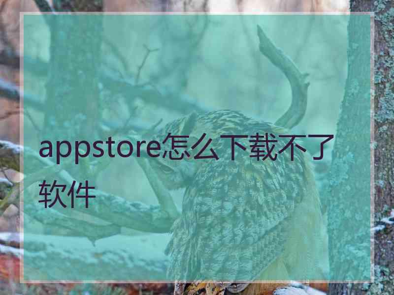 appstore怎么下载不了软件