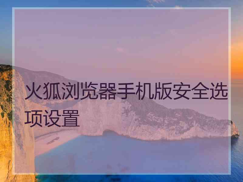 火狐浏览器手机版安全选项设置