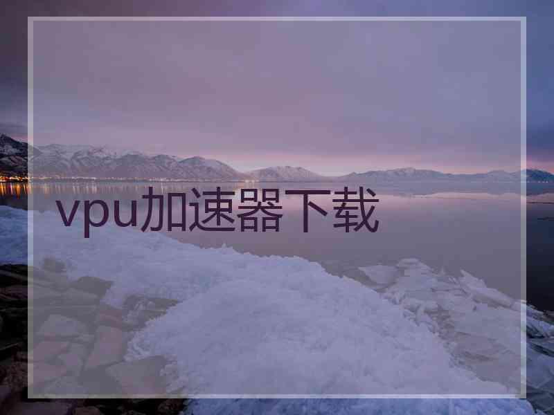 vpu加速器下载