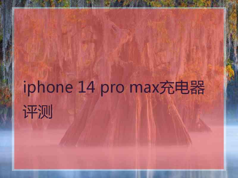 iphone 14 pro max充电器评测