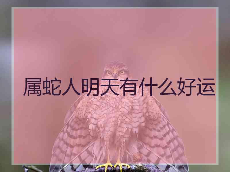 属蛇人明天有什么好运