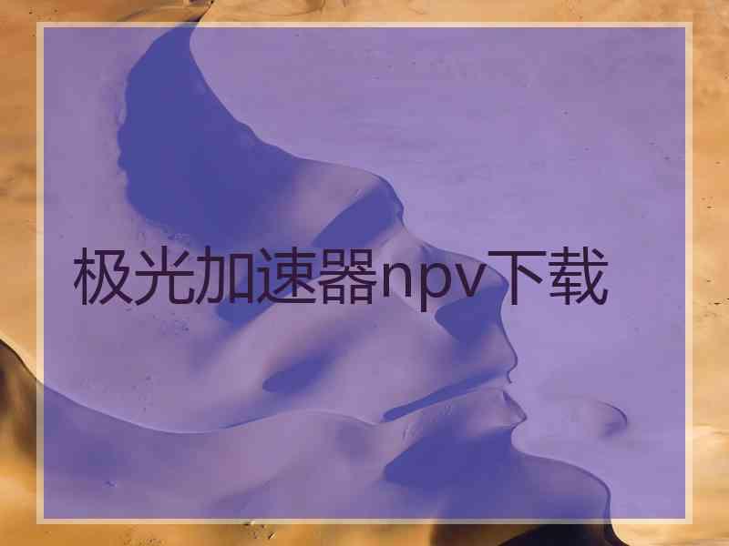 极光加速器npv下载