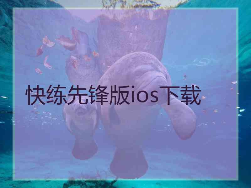 快练先锋版ios下载