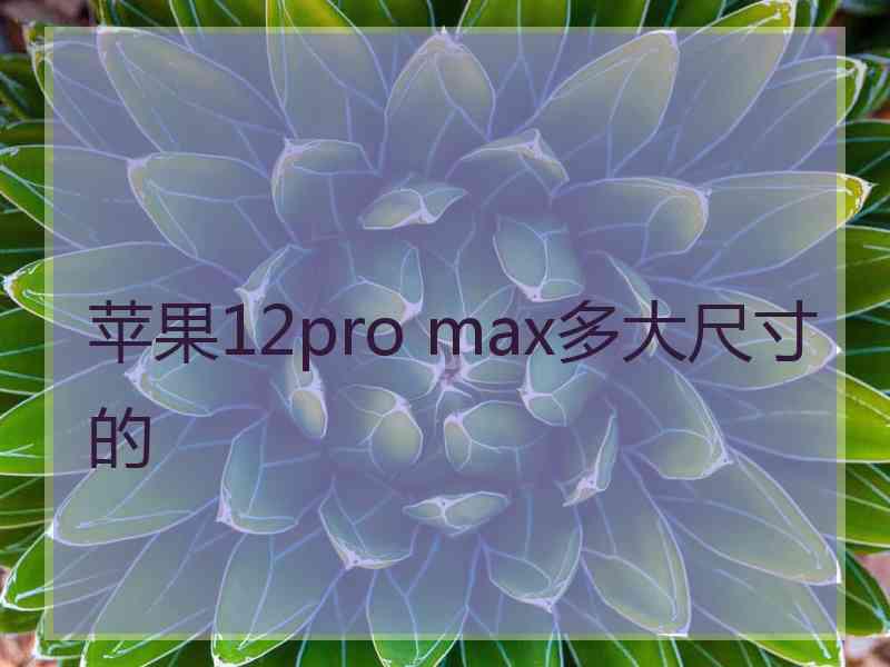 苹果12pro max多大尺寸的