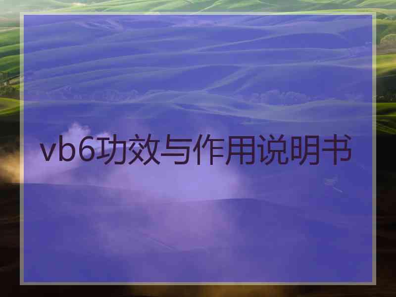 vb6功效与作用说明书