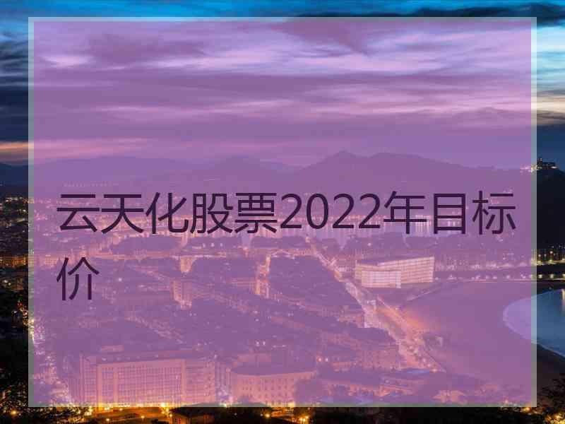 云天化股票2022年目标价