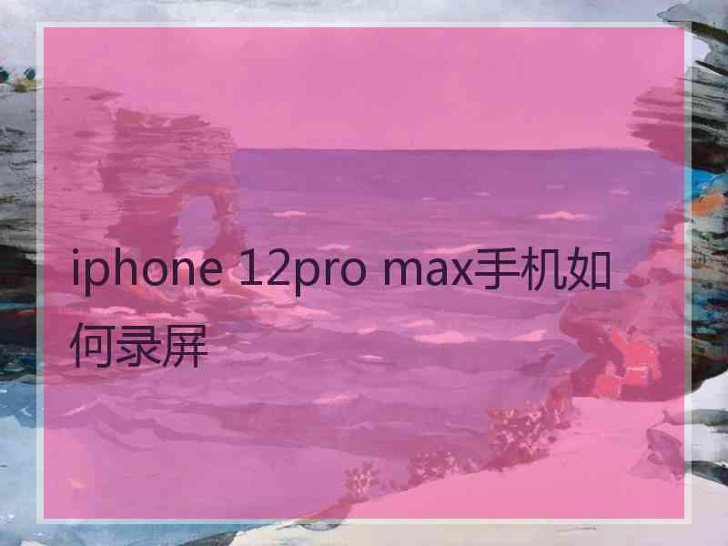 iphone 12pro max手机如何录屏