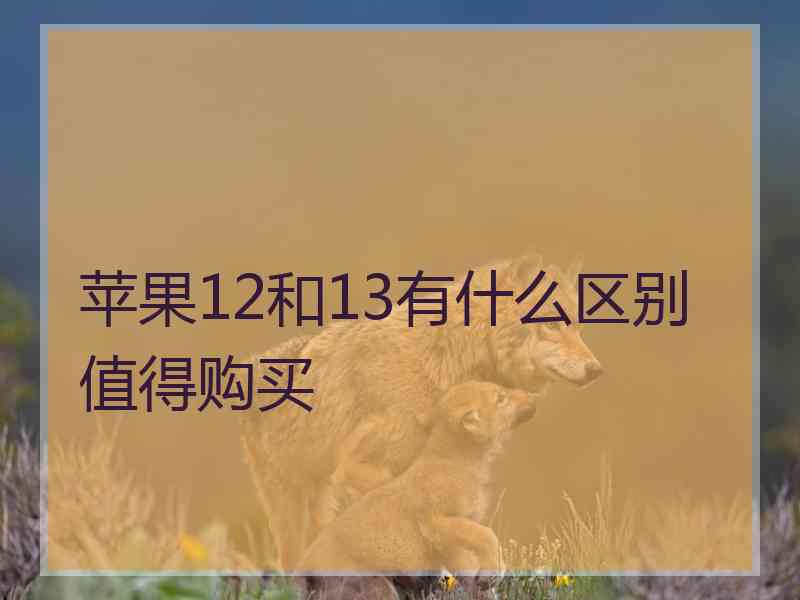 苹果12和13有什么区别值得购买