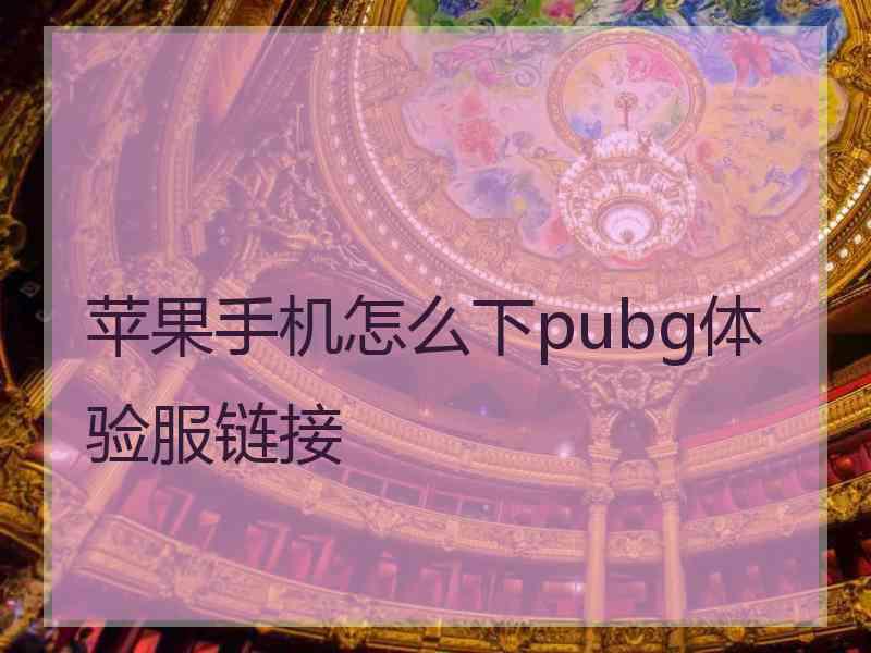 苹果手机怎么下pubg体验服链接