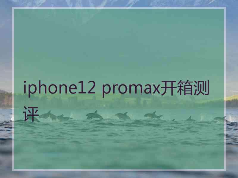 iphone12 promax开箱测评