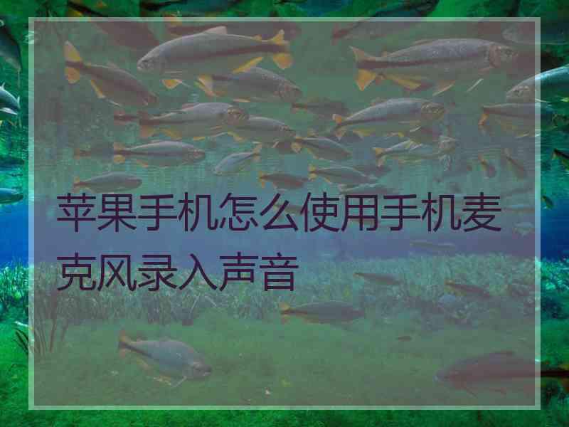 苹果手机怎么使用手机麦克风录入声音