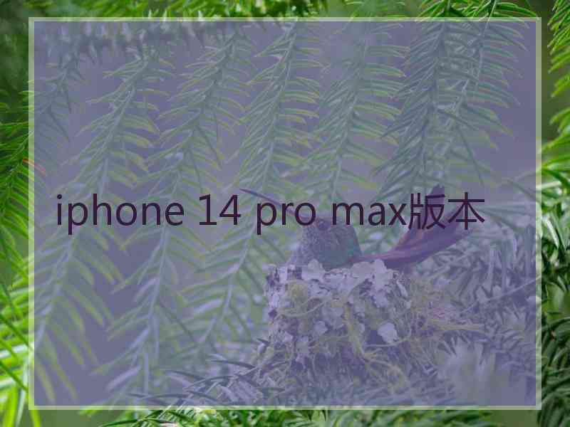 iphone 14 pro max版本