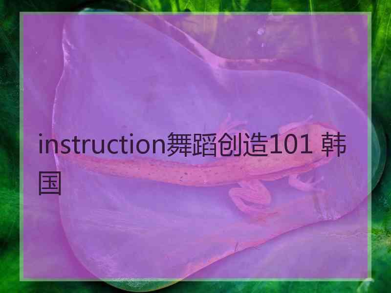 instruction舞蹈创造101 韩国