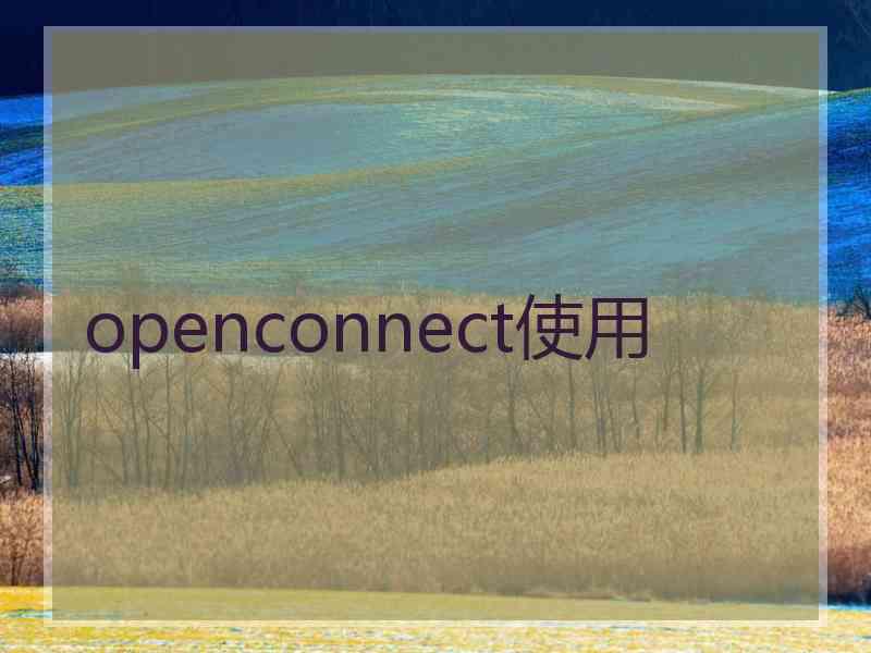 openconnect使用