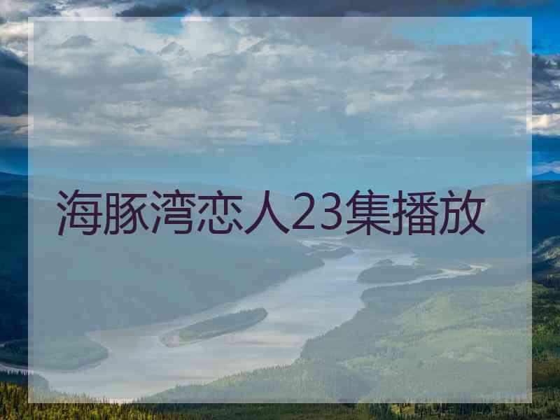 海豚湾恋人23集播放