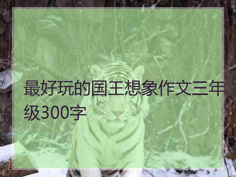 最好玩的国王想象作文三年级300字