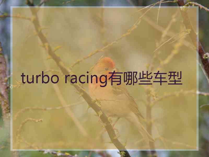 turbo racing有哪些车型