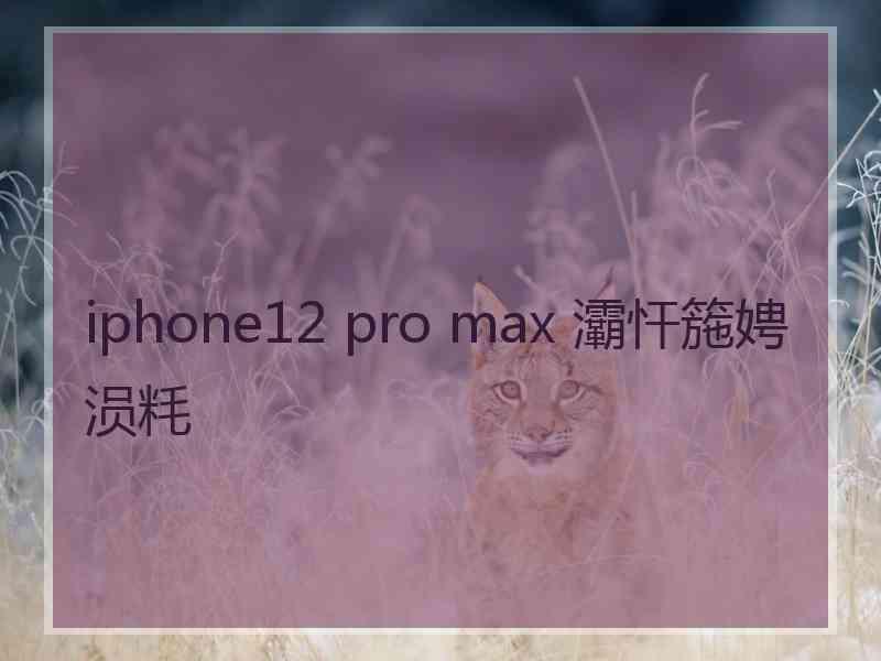 iphone12 pro max 灞忓箷娉涢粍