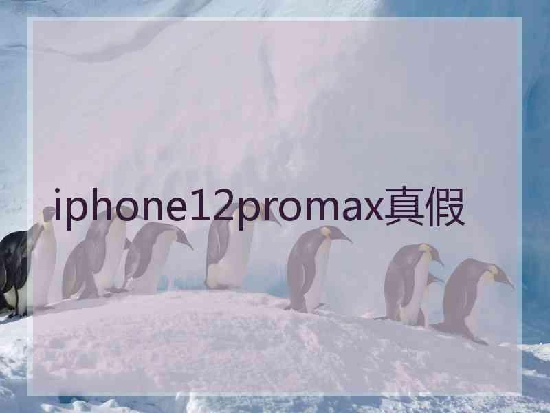 iphone12promax真假