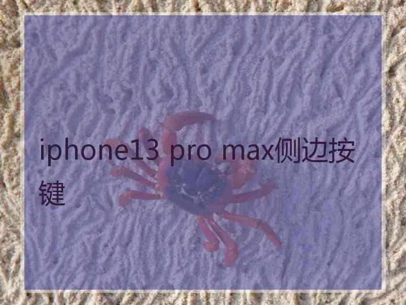 iphone13 pro max侧边按键