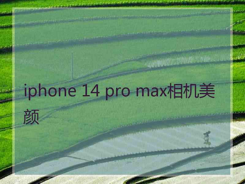 iphone 14 pro max相机美颜