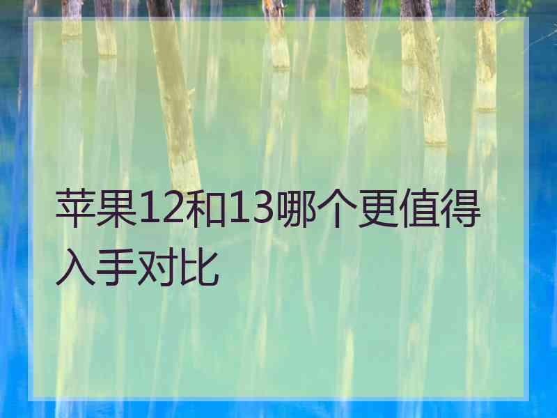 苹果12和13哪个更值得入手对比