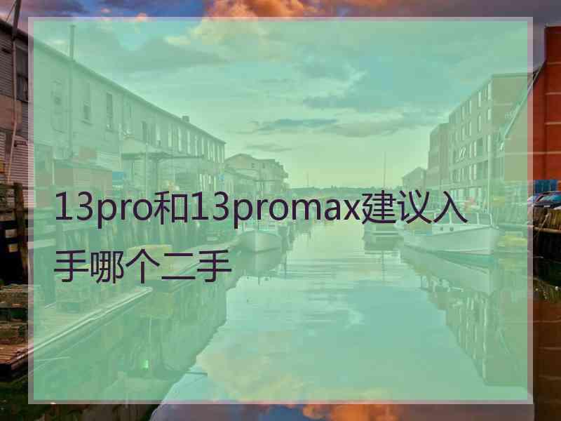 13pro和13promax建议入手哪个二手