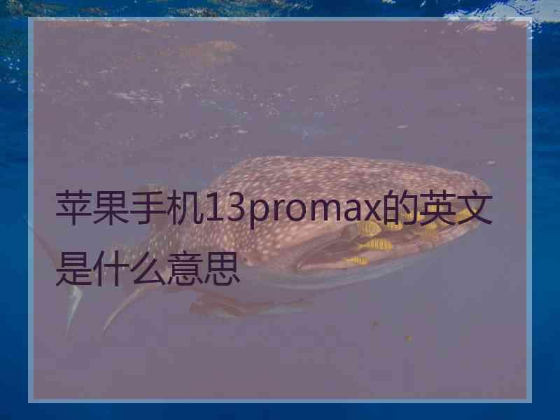 苹果手机13promax的英文是什么意思