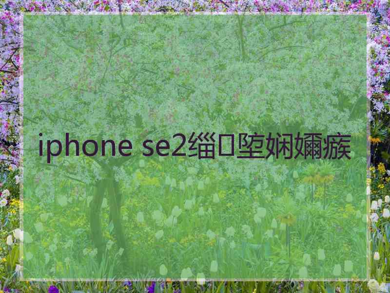 iphone se2缁埅娴嬭瘯