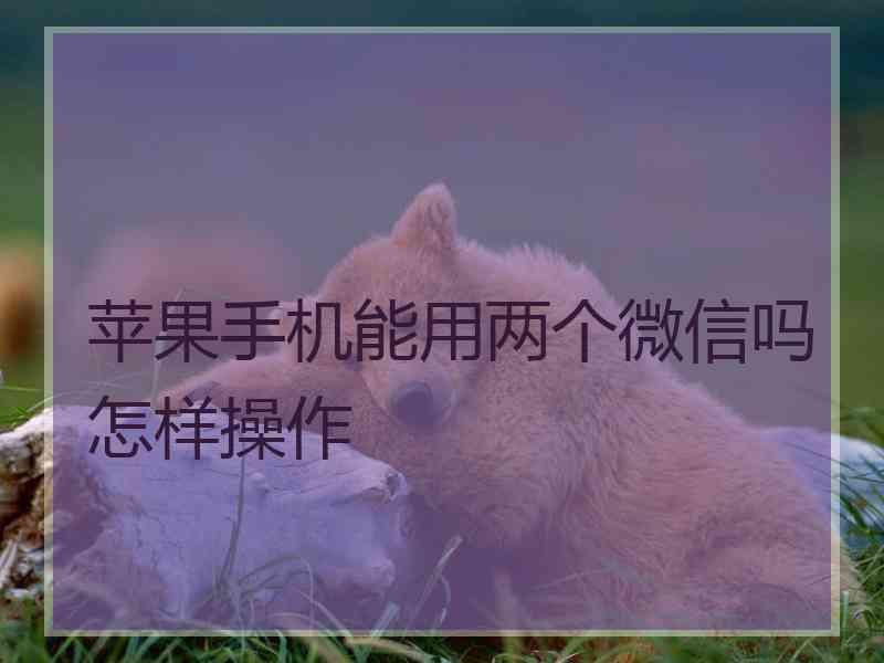 苹果手机能用两个微信吗怎样操作