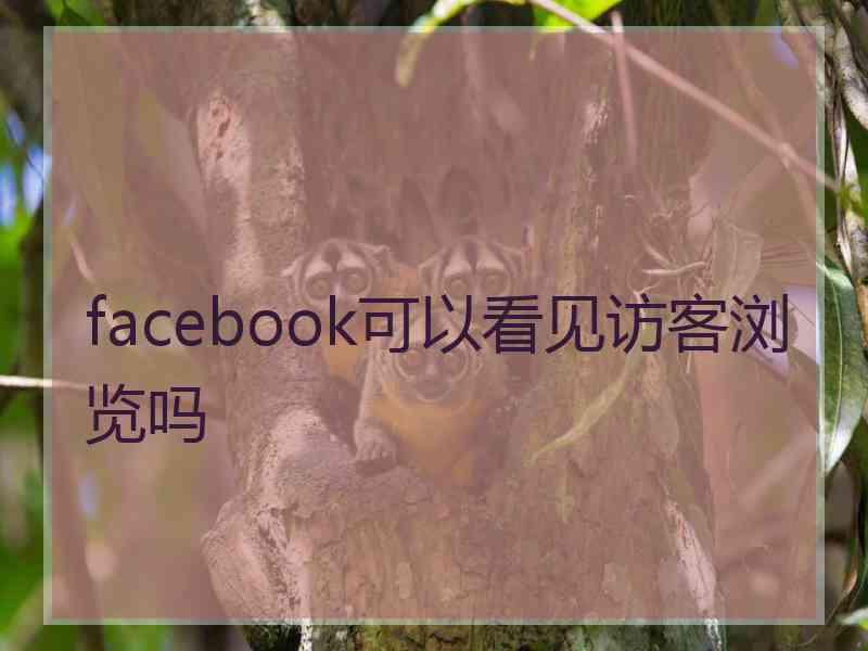 facebook可以看见访客浏览吗