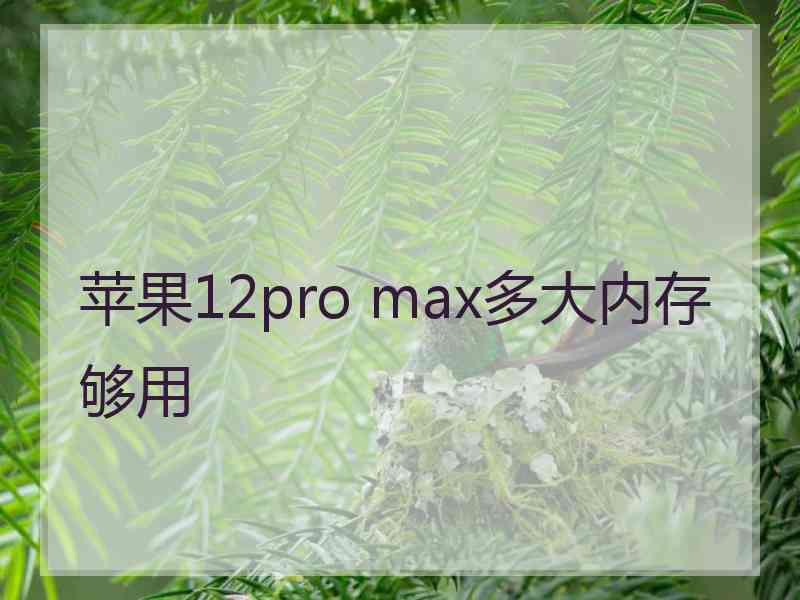 苹果12pro max多大内存够用