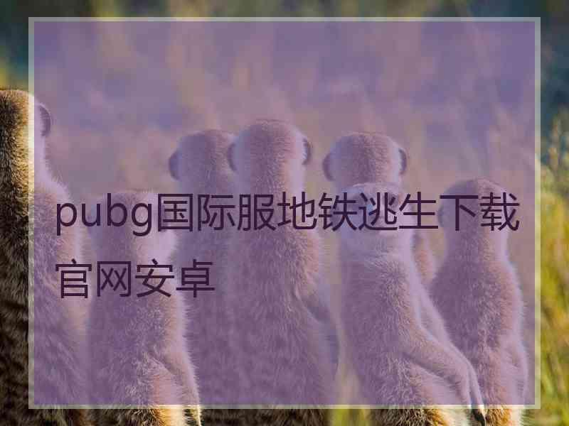 pubg国际服地铁逃生下载官网安卓