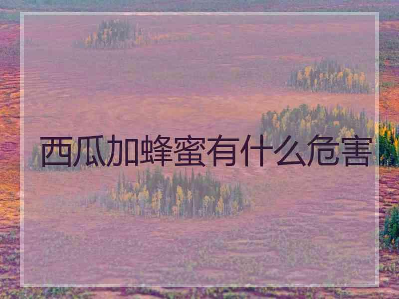 西瓜加蜂蜜有什么危害