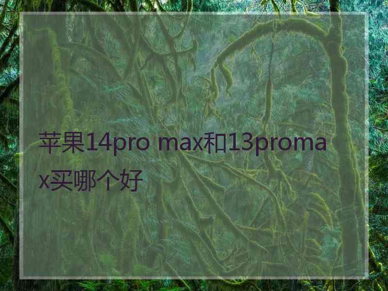 苹果14pro max和13promax买哪个好