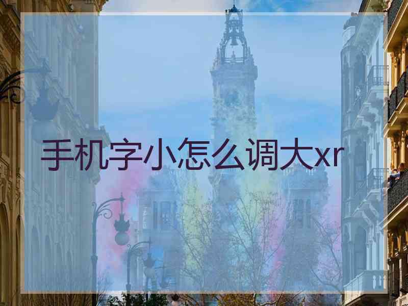 手机字小怎么调大xr