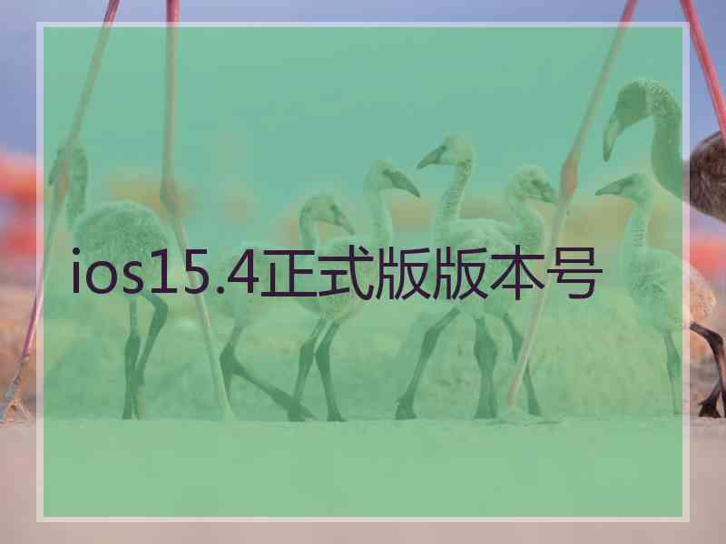 ios15.4正式版版本号