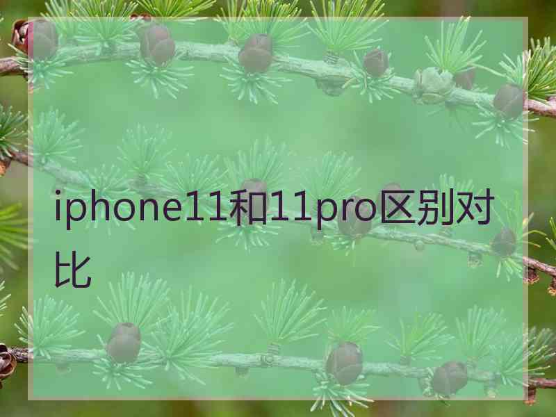 iphone11和11pro区别对比