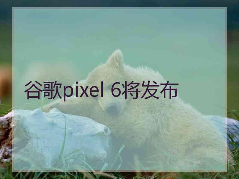 谷歌pixel 6将发布