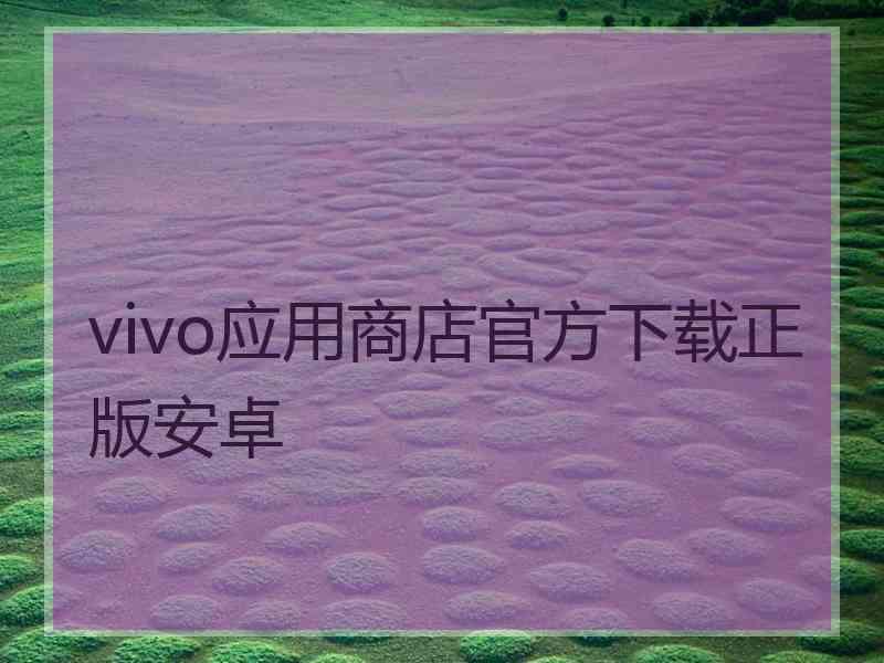 vivo应用商店官方下载正版安卓