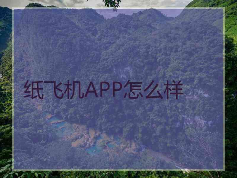 纸飞机APP怎么样