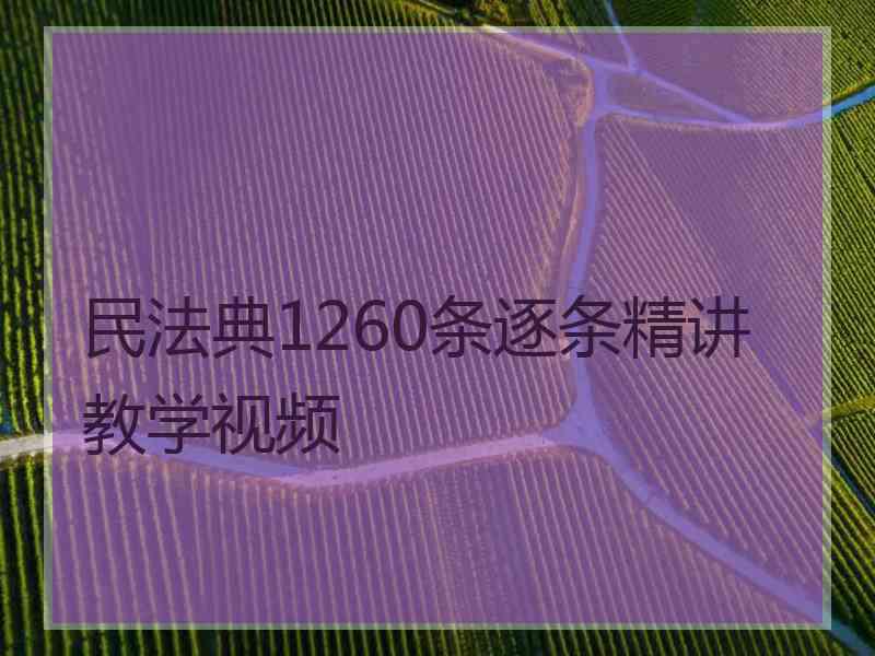 民法典1260条逐条精讲教学视频