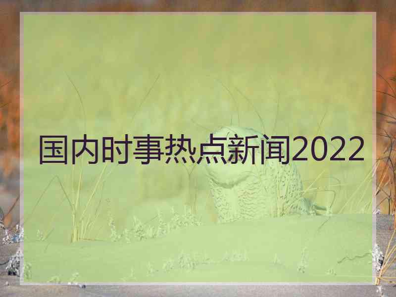 国内时事热点新闻2022